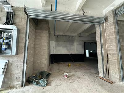 Picture 5